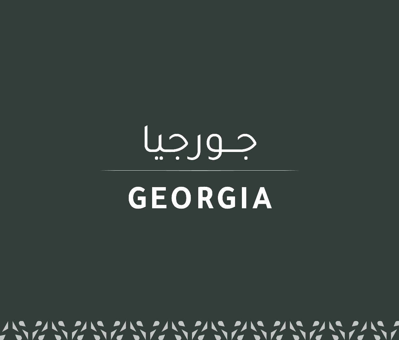 مغامرة ( جورجيا )